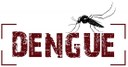 Cuidados para eliminar o Aedes aegypti